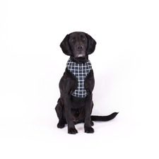 Chequered Neoprene Dog Harness