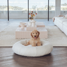 Cream Luxury Boucle Dog bed