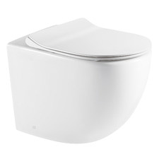 Raul Rimless Wall Faced Toilet Pan