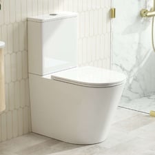 Windsor Back to Wall Toilet Suite