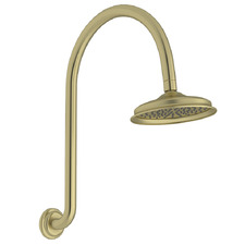 Augustine 220mm Gooseneck Shower Arm & Head