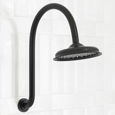 Augustine 220mm Gooseneck Shower Arm & Head