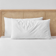 Raleigh Hypoallergenic Cotton King Pillows (Set of 2)
