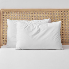 Raleigh Hypoallergenic Cotton Low Profile Standard Pillows (Set of 2)