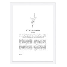 Zodiac Woman I Scorpio Printed Wall Art