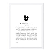 Aquarius Woman II Printed Wall Art