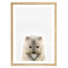 Baby Wombat Printed Wall Art