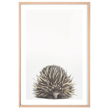 Baby Echidna Daisy Crown Printed Wall Art