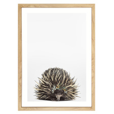 Baby Echidna Eucalyptus Crown Printed Wall Art