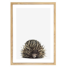 Baby Echidna Printed Wall Art