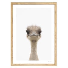 Baby Emu Printed Wall Art