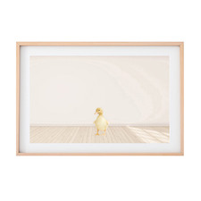 Baby Duckling Printed Wall Art