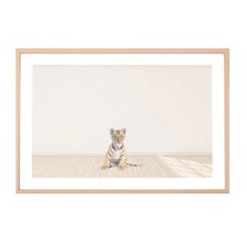 Baby Tiger Cub Printed Wall Art