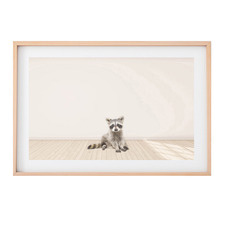 Baby Raccoon Printed Wall Art