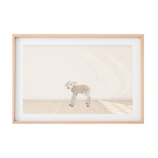 Baby Lamb Printed Wall Art