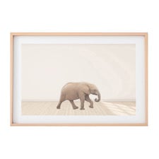 Baby Elephant Printed Wall Art