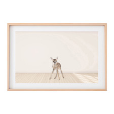 Baby Deer Printed Wall Art