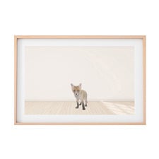 Baby Fox Printed Wall Art