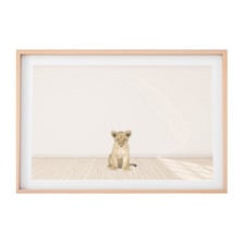 Baby Lion Printed Wall Art