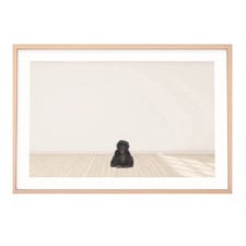 Baby Monkey Printed Wall Art