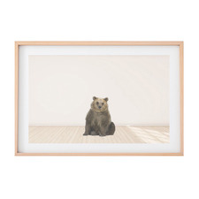 Grizzly Bear Printed Wall Art