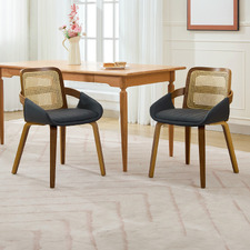 Otto Walnut Wood Dining Chairs (Set of 2)