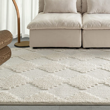 Fena Jovara Power-Loomed Rug