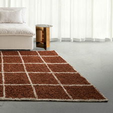 Xayden Machine Washable Rug