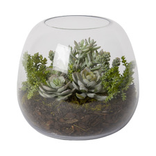 22cm Faux Bell Sedum Pick Succulent in Glass Bowl