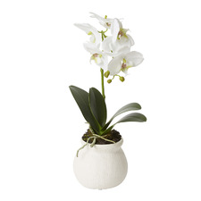 45cm Potted Faux Phalaenopsis Grand Orchid