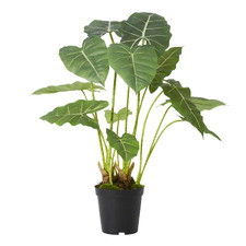 70cm Potted Faux Alocasia Frydek Plant