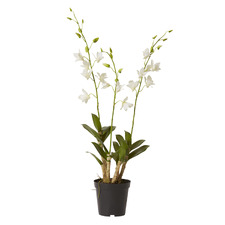 89cm White Potted Faux Orchid Dendrobium Flower