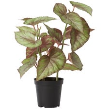 59cm Potted Faux Begonia Plant