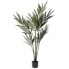 183cm Potted Faux Kentia Palm Tree