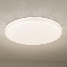Delilah LED Oyster Light