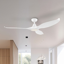 Noosa DC Ceiling Fan with LED