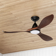 Noosa DC Ceiling Fan with LED