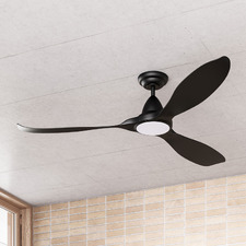 Noosa DC Ceiling Fan with LED