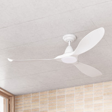 Noosa DC Ceiling Fan with LED