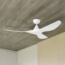 Surf DC Ceiling Fan with Remote Control