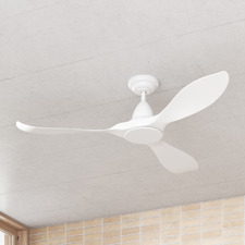 Noosa DC Ceiling Fan with Remote Control
