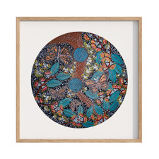 Bindi Bind Dreaming Framed Paper Print Wall Art