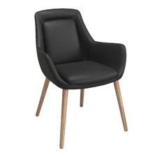 Aquila Faux Leather Armchair