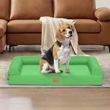 Green Trista Orthopedic Calming Dog Bed