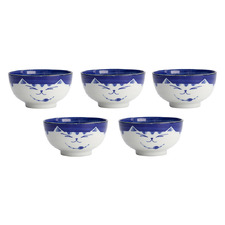Kawaii Neko Cat 15.7cm Porcelain Bowls (Set of 5)