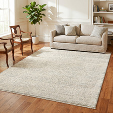 Blue Veil Traditional Rug