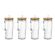 650ml Jeevan To-Go Glass Bottles with Lid & Straw (Set of 4)