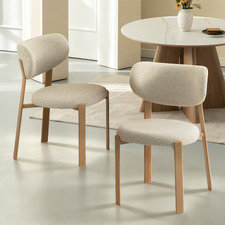 Laurent Chenille Dining Chairs (Set of 2)