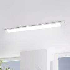 Lanky Steel LED Batten Light
