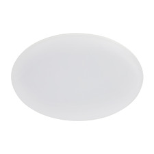 Roystar LED Outdoor Oyster Light